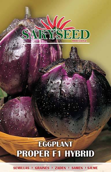 MELANZANA PROPER F.1 NR.100 SEMI